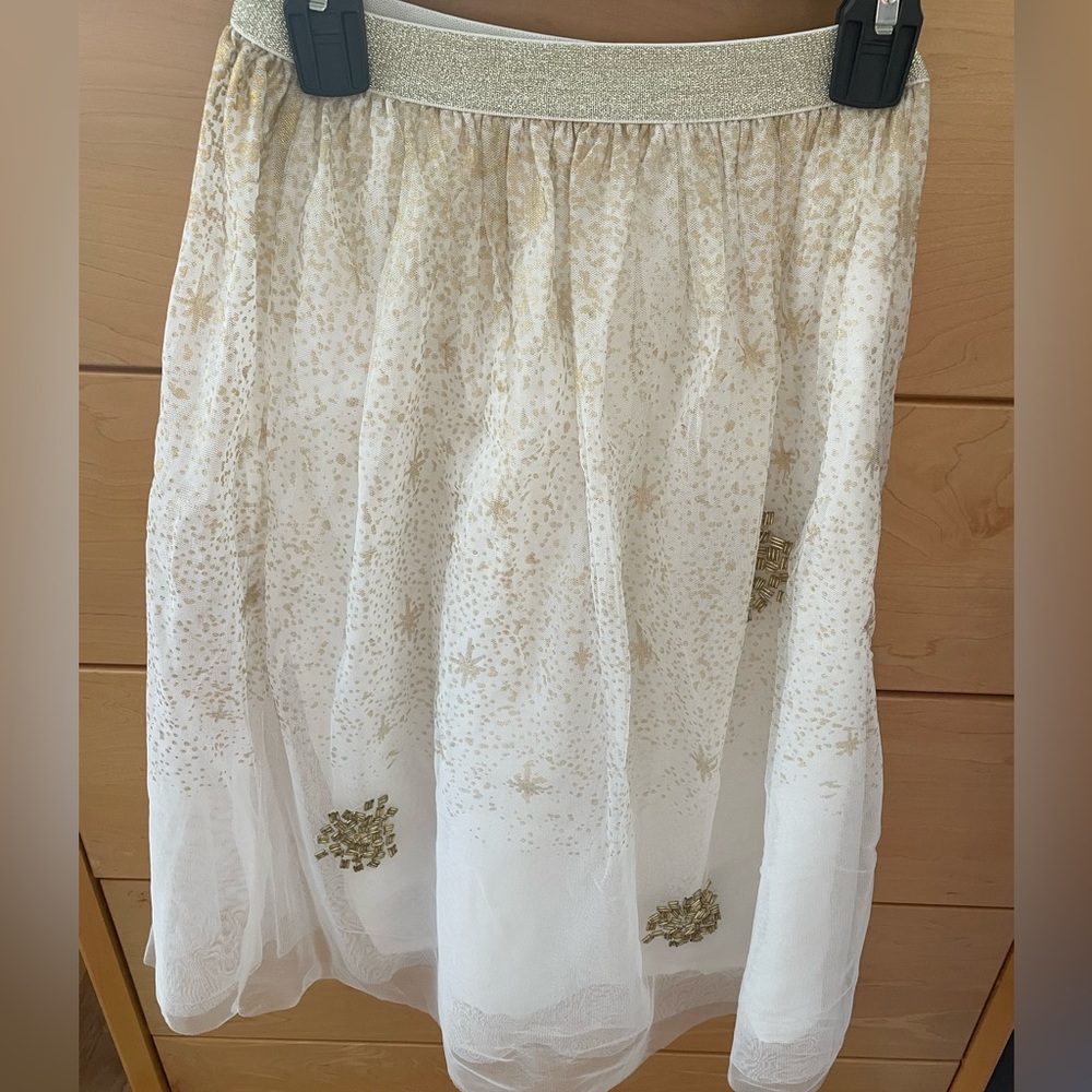 Girl's beaded tutu NWOT